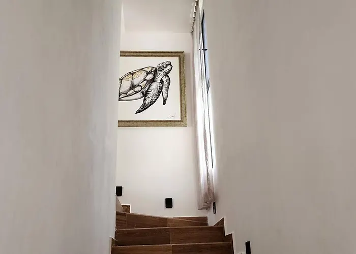 Pousada Alexa *